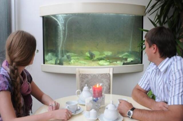 Klaipėdos centre - "valgomas" akvariumas