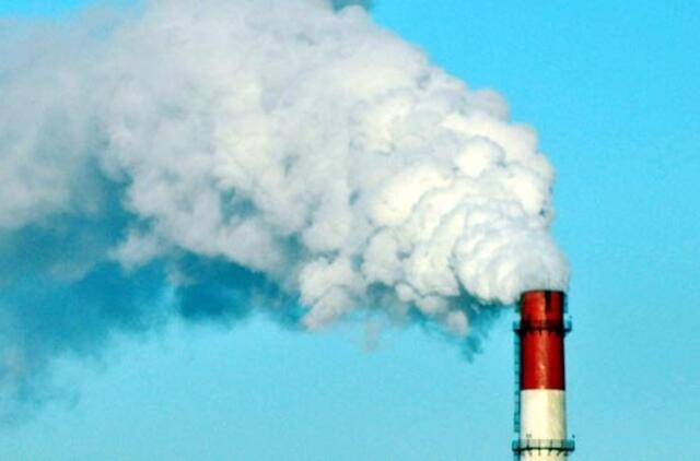 Prezidentė vetavo Šilumos ūkio įstatymo pataisas