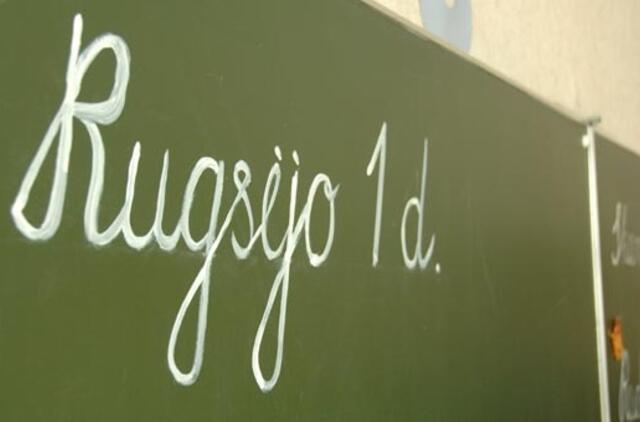 Iš dviejų kaimo mokyklų krito viena