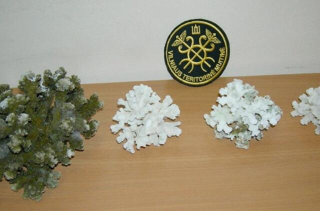 Vilniaus oro uoste sulaikyti keturi koralai