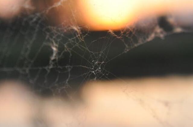 Birželio 16-oji: vardadieniai, dangaus kūnai, istoriniai įvykiai