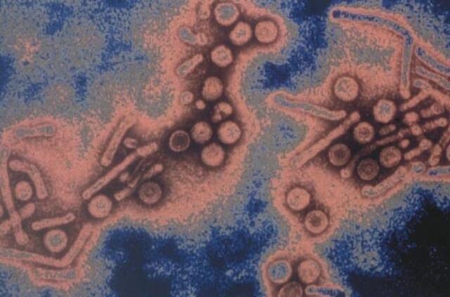 Lietuviai bet kokia kaina nori išgyventi kuo ilgiau