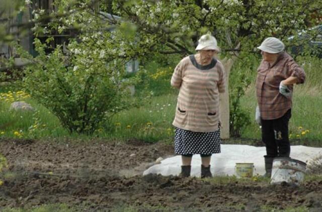 Politikė: apie pensinio amžiaus ilginimą galėtume kalbėti po 20 metų, bet ne dabar