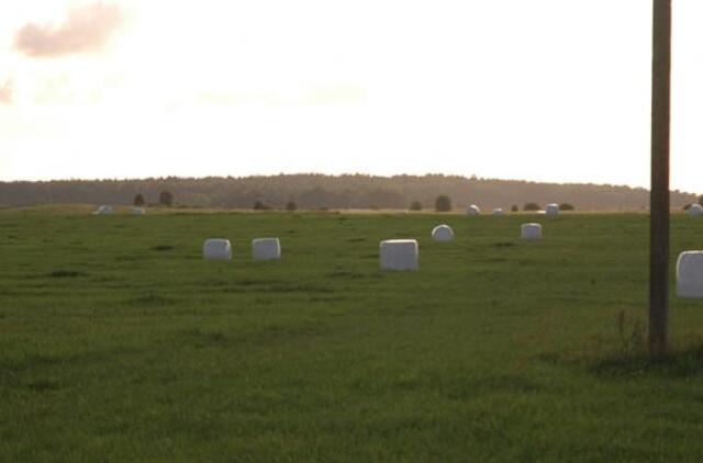 Priešinasi savivaldybių rinkimų pakeitimams, nori perimti žemėtvarką