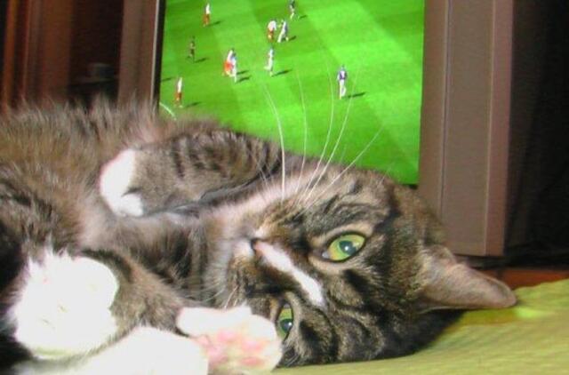 Valstybinei kainų ir energetikos komisijai siūloma reguliuoti retransliavimo kainas