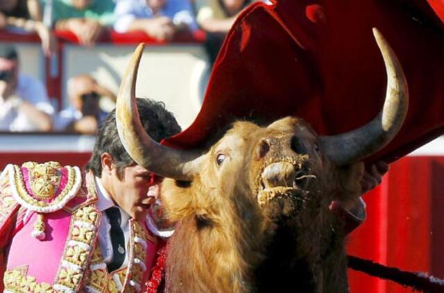 Bridžit Bardo sveikina koridos uždraudimą Katalonijoje