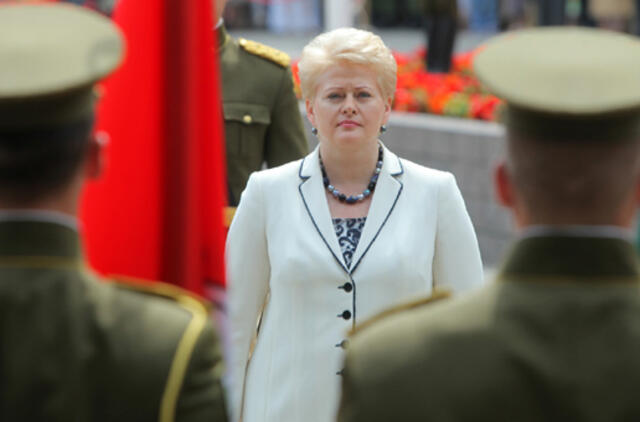 Dalia Grybauskaitė raginama vetuoti Savivaldybių tarybų rinkimų įstatymą