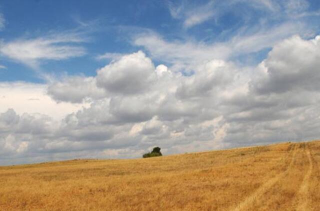 Karščiai Rusiją užplūdo dėl klimato kaitos, teigia aplinkosaugininkai