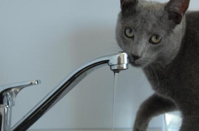 Per karščius žmonės  liko be vandens