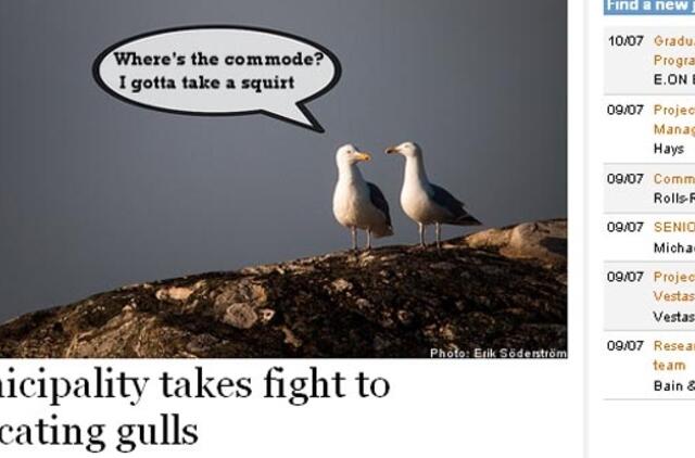 Švedijoje Karlštato mieste pastatytas tualetas žuvėdroms