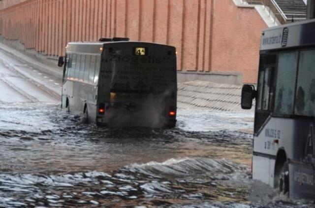 Klaipėdos autobusų vairuotojai mėgsta būti girti