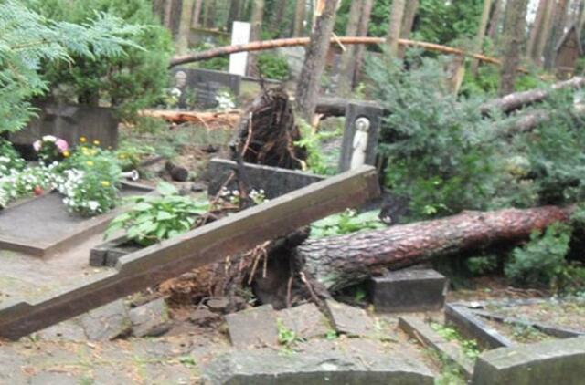 Lietuvos draudikai skaičiuoja audros padarytus nuostolius