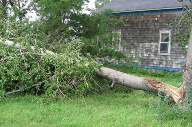 Per škvalą Lietuvoje žuvo keturi žmonės, du traumuoti