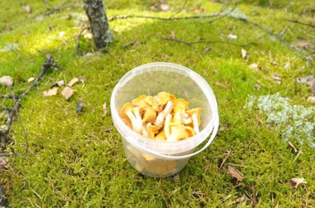 Rugpjūčio 21-oji: vardadieniai, dangaus kūnai, istorija