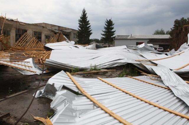 Ryškėja vėtros padarytos žalos mastai bei įstatymų spragos