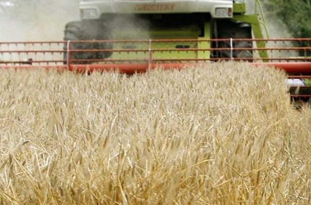 Sezoniniai gaisrai: dega kombainai, šiaudai ir ražienos