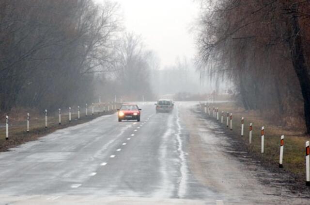 Šilutė-Rusnė - kelių erelių "magistralė“