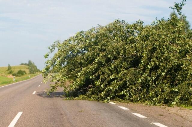 Stichija eibių pridarė ir kelininkams
