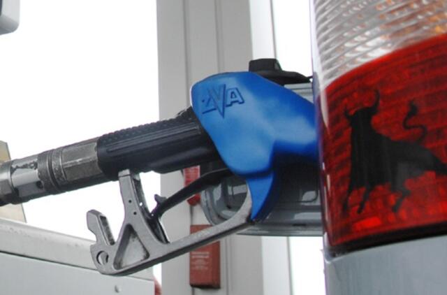 Automobilio vagis pagautas per savo žioplumą