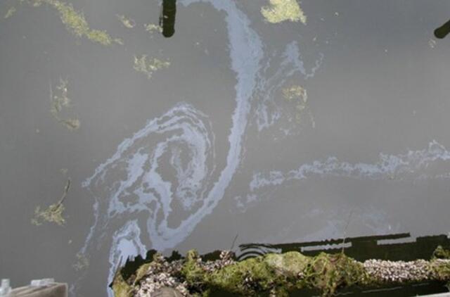 Danės upėje pastebėti naftos produktų teršalai