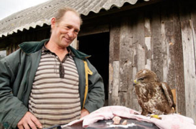 Darbėniškis vanagą išgelbėjo nuo žūties