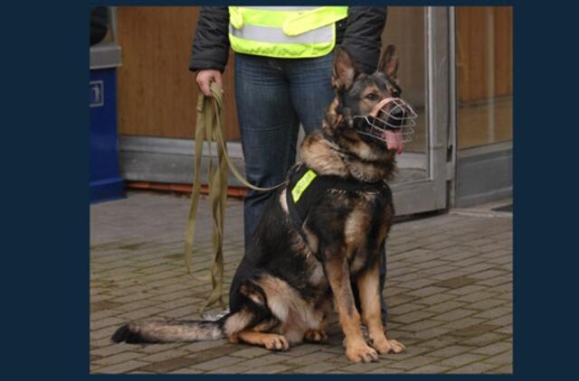 Ieškomas į mokyklą ėjusią mergaitę išprievartavęs jaunuolis