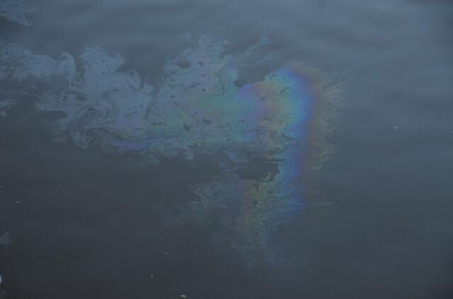 Danės upėje pastebėti neaiškūs teršalai