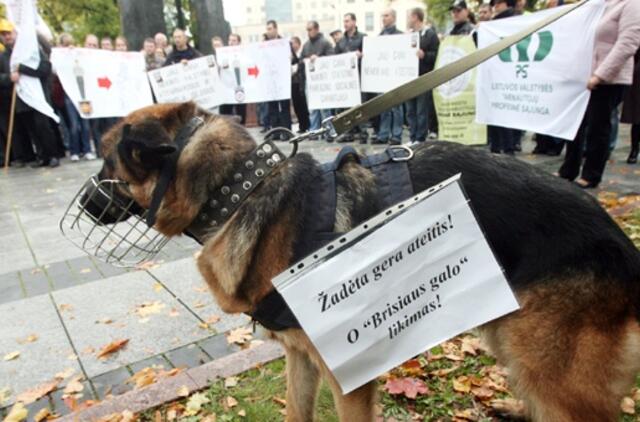 Raimundas Palaitis: kitąmet sistemos finansavimas bus paliktas toks pat, kaip 2010 metais