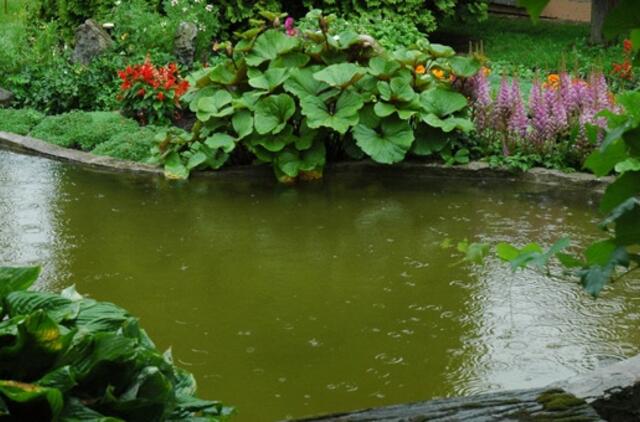 Rugsėjo 17-oji: vardadieniai, dangaus kūnai, istorija