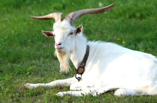 Rugsėjo 5-oji: vardadieniai, dangaus kūnai, istorija