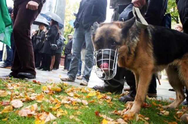 Vidaus reikalų sistemos darbuotojus protesto akcijoje palaiko ir keturkojis pensininkas