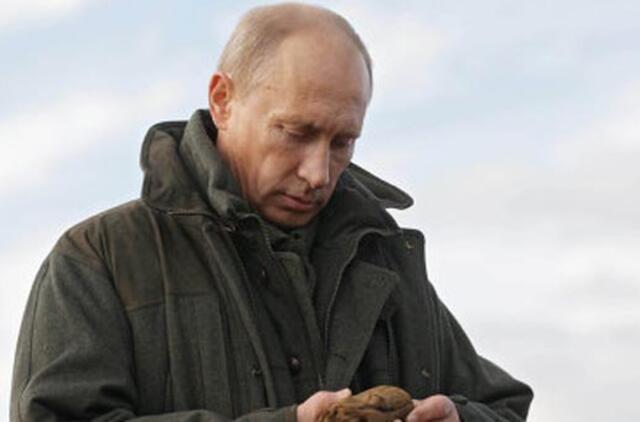 Vladimirui Putinui nepatiko iš banginio žabtų sklindantis kvapas