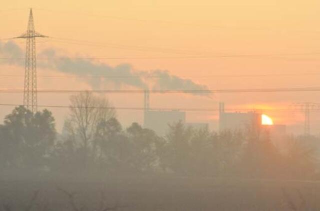 Apklausa: dauguma Lietuvos gyventojų galvoja, kad branduolinė energetika užtikrintų saugumą