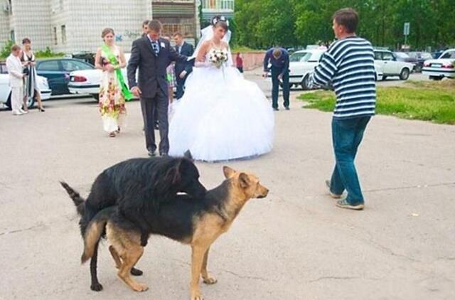 Bulvaras: tikėk - netikėk