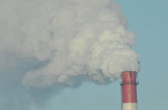 Klaipėdoje labiausiai šąla verslininkai