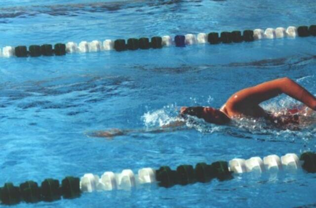 Lietuviai į pasaulio plaukimo taurės varžybų finalus nepateko