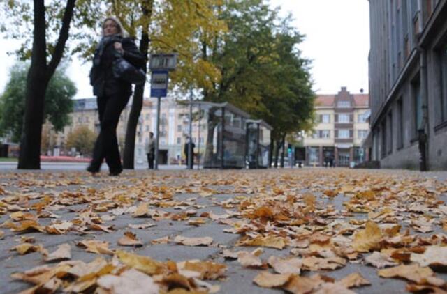 Savaitgalį - ramūs, bet šaltoki orai