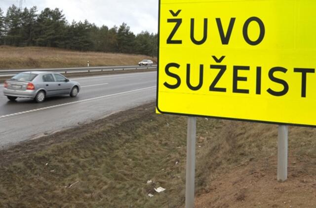 Sekmadienį keliuose žuvo du žmonės