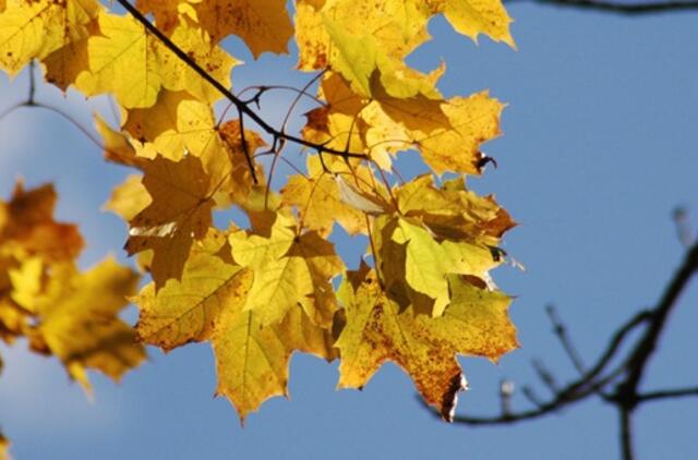 Spalio 12-oji: vardadieniai, dangaus kūnai, istorija