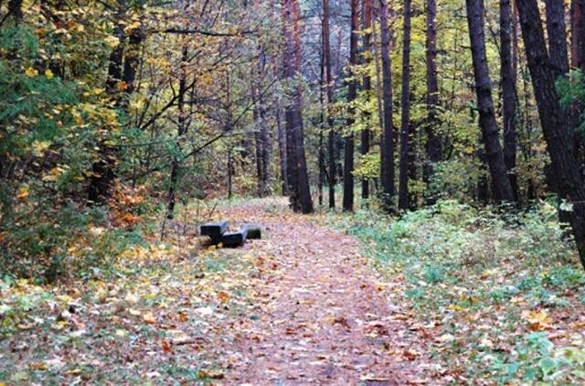 Spalio 24-oji: vardadieniai, dangaus kūnai, istorija