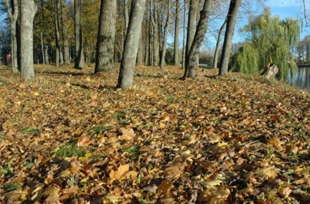 Spalio 28-oji: vardadieniai, dangaus kūnai, istorija