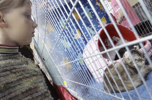 Spalio 4-oji: vardadieniai, dangaus kūnai, istorija