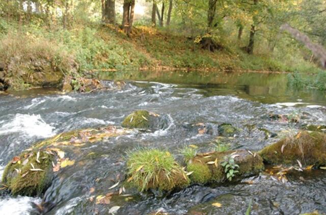 Spalio 6-oji: vardadieniai, dangaus kūnai, istorija