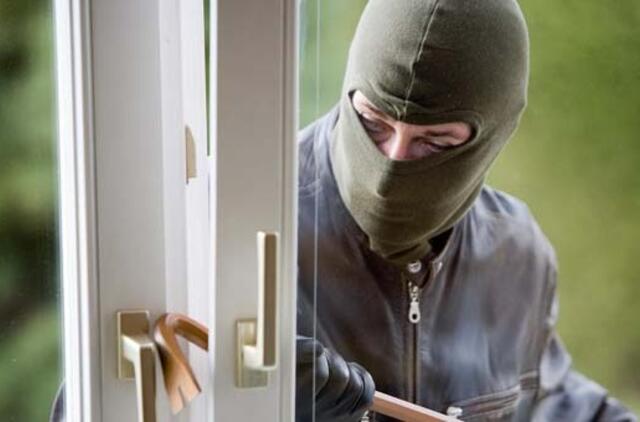 Vagies dosjė: 13-as teistumas - už 55 vagystes