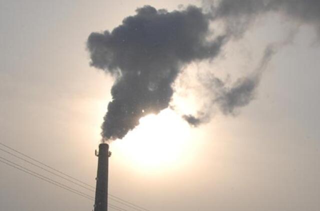 Atliekas deginti nori tik Klaipėda