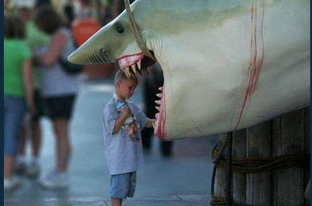 Bulvaras: tikėk - netikėk