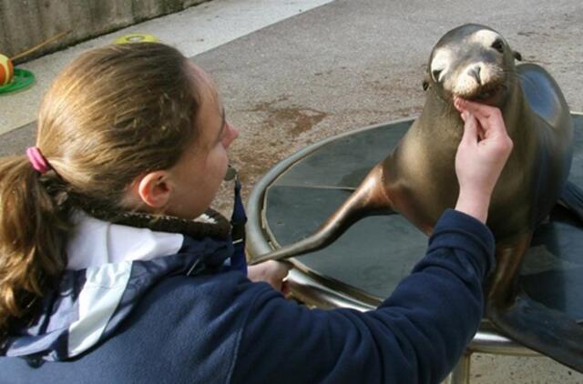 Delfinės pienas išgelbėjo Kalifornijos jūrų liūtukę