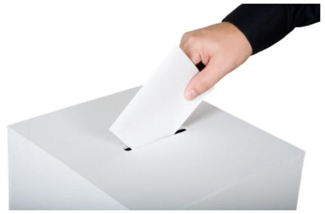 Irena Degutienė: draudimas emigrantams balsuoti rinkimuose būtų antikonstitucinis