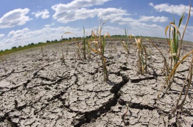 Jungtinės Tautos: per 40 metų skurdžiausių valstybių skaičius padvigubėjo