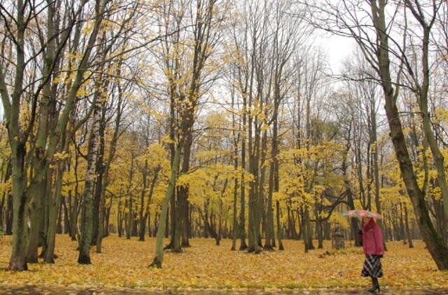 Klaipėda: VE.lt pristato lapkričio 12 dienos įvykius